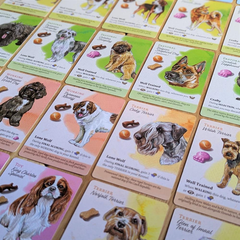 Dog Park: European Dogs
